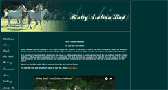 Desktop Screenshot of binleystud.com