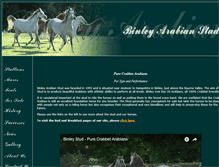Tablet Screenshot of binleystud.com